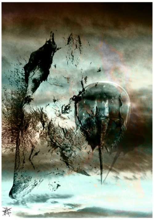 Original Surrealism Nautical Nudes by Ras Steyn - Canvas Print 850mmx1200mm - Signed Single Ed.