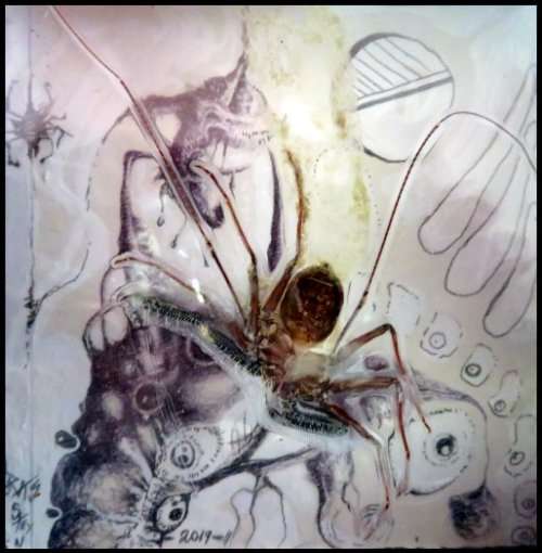 Original Surrealism: `Possum` by SA Surrealist Ras Steyn Lead Pencil and Found Object Overlay (1of1)