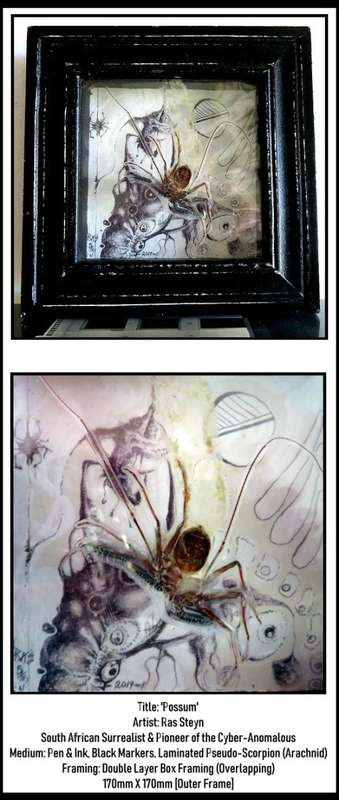 Original Surrealism: `Possum` by SA Surrealist Ras Steyn Lead Pencil and Found Object Overlay (1of1)
