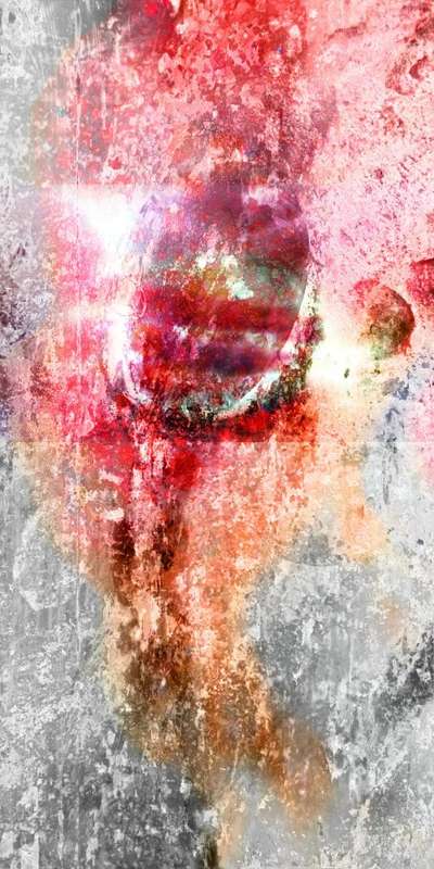 Abstract  Feelix Absynth on the Rox by SA Artist Ras Steyn - Signed Single Edition Canvas Print