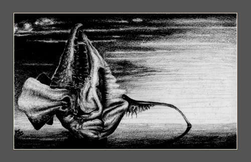 Abstract Surrealism: `Lonely Crustacean Oracle` by Notorious SA Artist Ras Steyn - Original Drawing