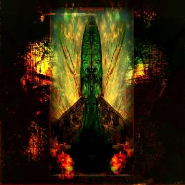 Apex Angel in Scarabian Drag by RAS STEYN - SuperGloss - 380MMx380MM - [01 of 02] - LIMITED & SIGNED
