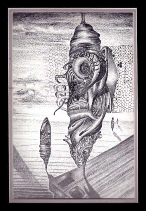 Dawn of the Muscle Cracker by RAS STEYN - 360mm X 270mm - Original Lead Pencil Drawing - 1 ONLY***