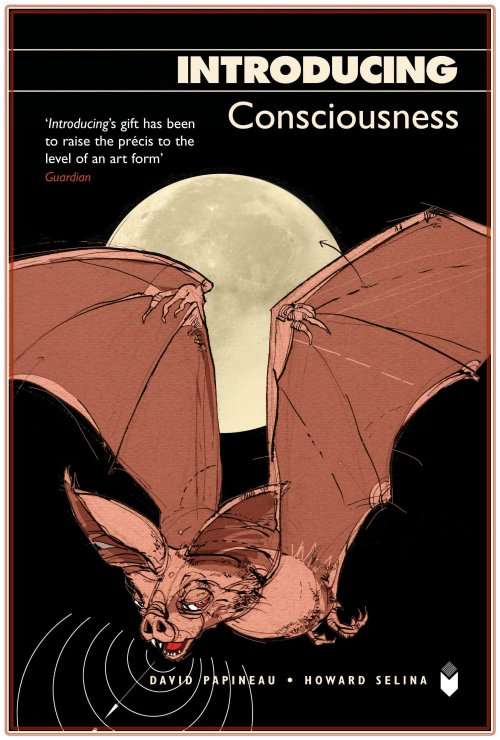 INTRODUCING Consciousness - David Papineau and Howard Selina - Icon Books - LIKE NEW *