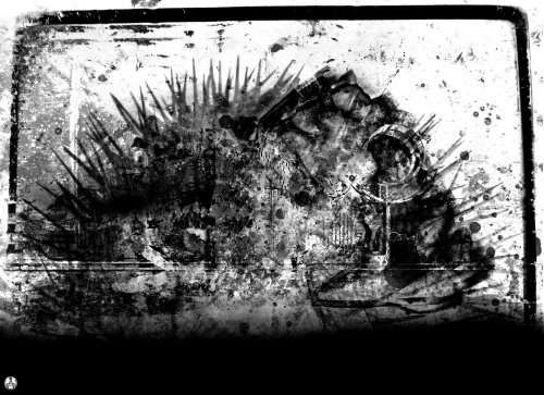 Original Acrylic Print: `Van Vogt Grunter` by Controversial Artist Ras Steyn [MFA] - SINGLE EDITION