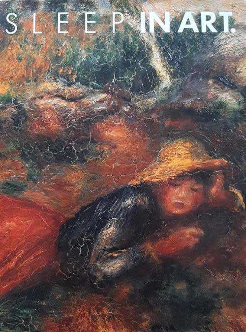 Sleep in Art by Regine Potzsch -  Ediziones Roche - 1993 - pages: 216 - Large Hardcover*