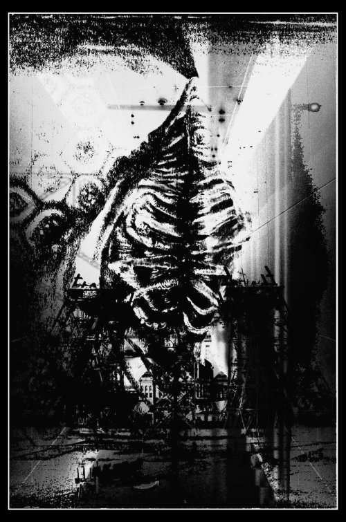 Original Surrealist Prints FOR SALE - Surrealist Artist Ras Steyn  Title: `The Albino Arachnid` 3/3