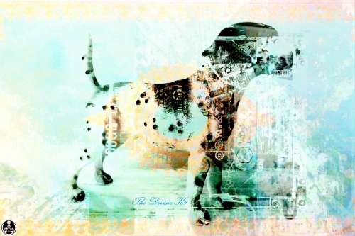 `The Divine K9` by SA Artist Ras Steyn [MFA] - Single Edition Acrylic Print - 500MM X 350MM ****