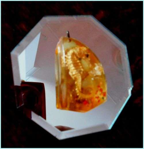 Fairly Large Resin Pendant with a Precious little Seahorse with bits of Mother-of-Pear - circa 1950s