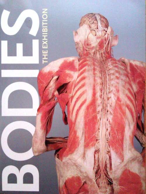 BODIES: The Exhibition - Large Softcover - SNOECK Publishers - 2006 - 64 Pages - GOOD SALE !!!!!