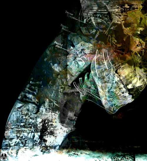 Abstract Surrealism: `Kafka`s Final Testimony` by SA Artist Ras Steyn [MT] - 600MMX600MM