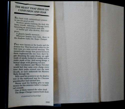 ROBERT R. McCammon - Hardback - First USA Edition 1983 - Holt,Reinhart Winston - Collectible Horror