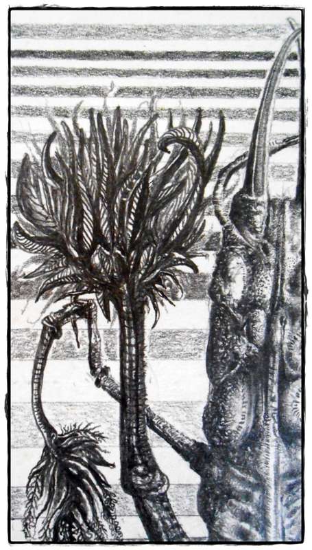 Original Art by SA Surrealist Ras Steyn Lead Drawing `Insectness` as a psychological disorder` SALE!