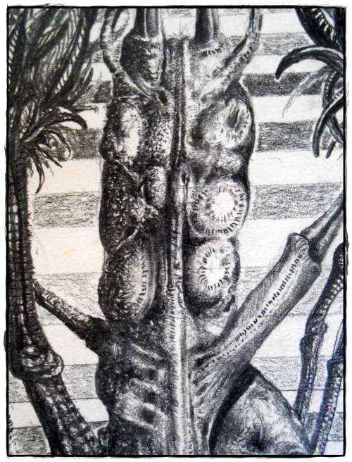 Original Art by SA Surrealist Ras Steyn Lead Drawing `Insectness` as a psychological disorder` SALE!
