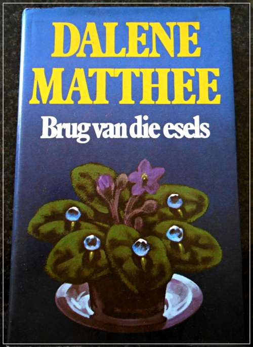 DALENE MATTHEE - Brug van die Esels - Hardeband met Goeie Stofomslag - 1ste Uitgawe, 2de Druk 1992