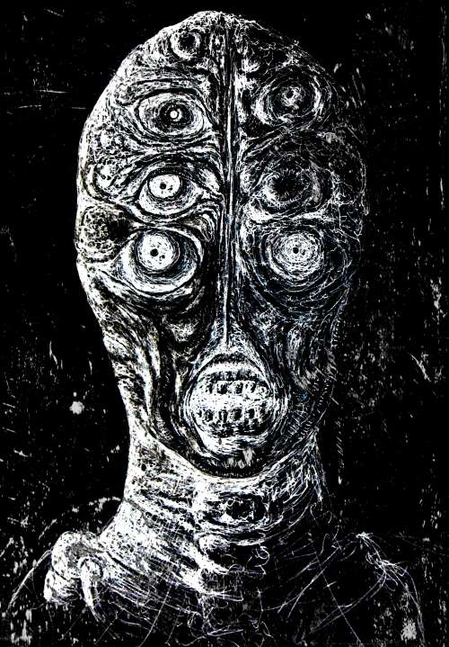 Title: `The Amphibian Namibian` by SA Artist Ras Steyn [MFA] - LARGE CANVAS MONOPRINT 1/2