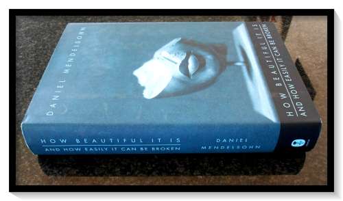 DANIEL MENDELSOHN - How Neautiful It Is - Essays - First Edition, 1st Printing - 2008 HarperCollins