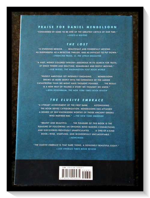 DANIEL MENDELSOHN - How Neautiful It Is - Essays - First Edition, 1st Printing - 2008 HarperCollins