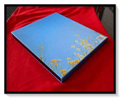 Apocalypse: Beauty and Horror in Contemporary Art - Ed. Norman Rosenthal - Excellent Cond.