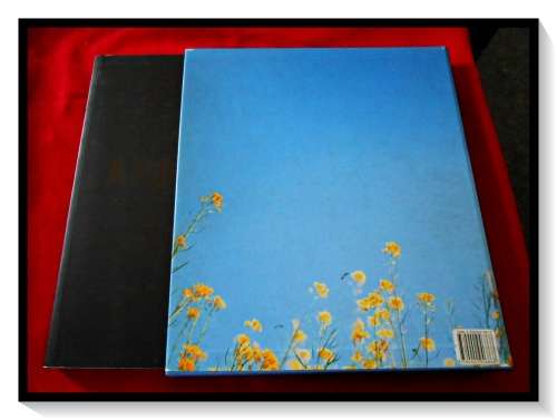Apocalypse: Beauty and Horror in Contemporary Art - Ed. Norman Rosenthal - Excellent Cond.