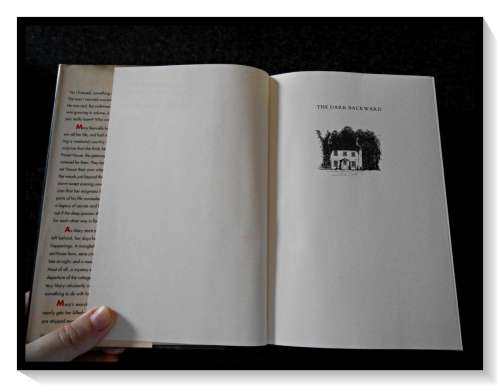 Gregory Hall: The Dark Backward - Hardcover First American Edition, 1st Print, VIKING, 1995 *****