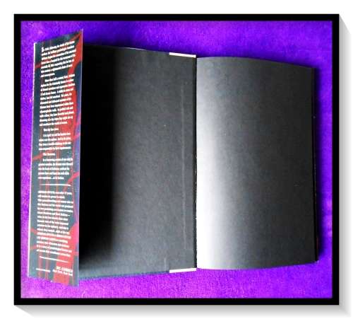 ARKHAM ASYLUM HC 2004 15th Anniversary Edition, 1st Edition Grant Morrison - LIKE NEW*****