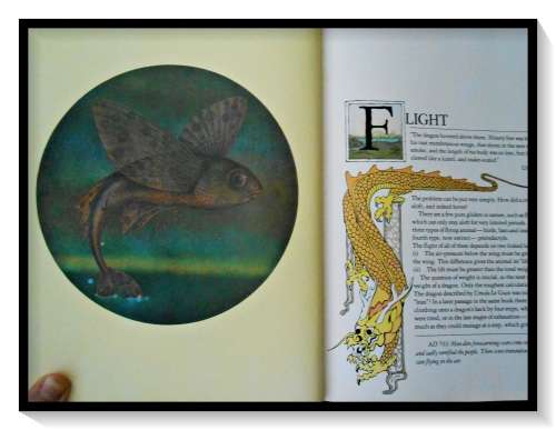 The Flight of Dragons PETER DICKINSON, Hardcover, First Edition 1979 Illustrated by Wayne Anderson