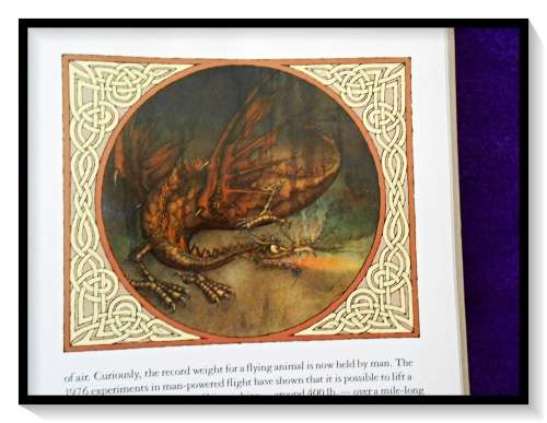 The Flight of Dragons PETER DICKINSON, Hardcover, First Edition 1979 Illustrated by Wayne Anderson