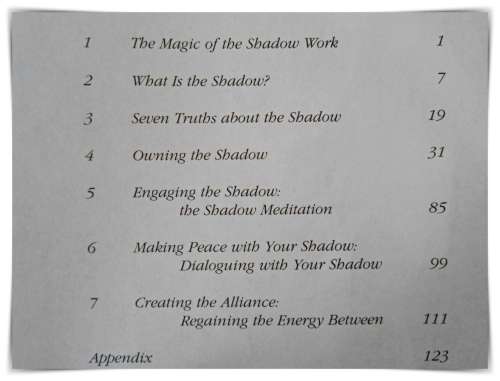 LAZARIS: Working with your Shadow - An Imperrative on the Spiritual Path - Softcover - Good Cond. B