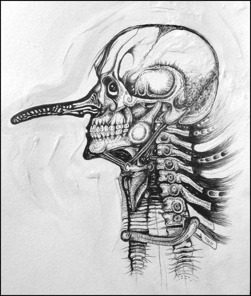 Bilateral View of Mr. Pinocchio Collodi by Surrealist Ras Steyn - Original Drawing