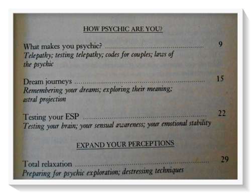 Beverley Rhodes: Finding Your Cosmic Connection - 1990 - Chameleon Press - Condition: B