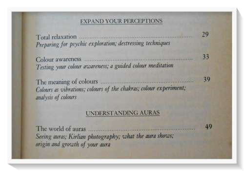 Beverley Rhodes: Finding Your Cosmic Connection - 1990 - Chameleon Press - Condition: B