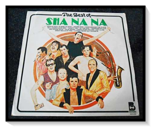 The Best of Sha Na Na - BUDDHA Records - Various - 1XLP Cover & Record - Condition: B