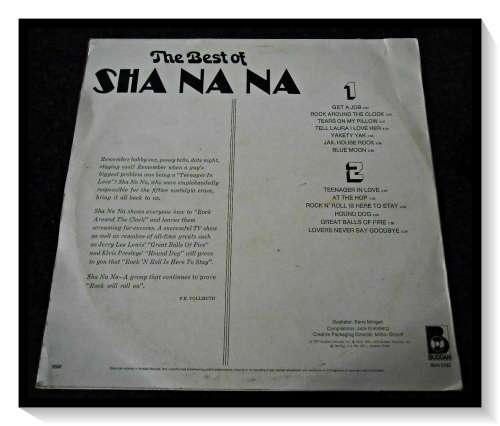 The Best of Sha Na Na - BUDDHA Records - Various - 1XLP Cover & Record - Condition: B