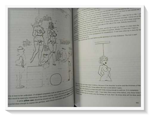LUSTMORD: The Writings & Artifacts of Murderers - A Bloat Book - Softcover - Cond: Very Good B+
