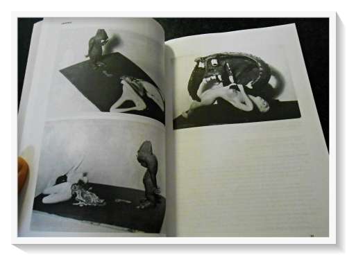LUSTMORD: The Writings & Artifacts of Murderers - A Bloat Book - Softcover - Cond: Very Good B+