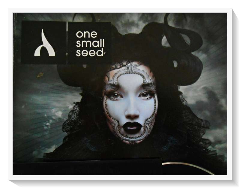 ONE SMALL SEED Magazine - Issue 23 - With OSS Local Artists CD Vol.01 - Condition: B+
