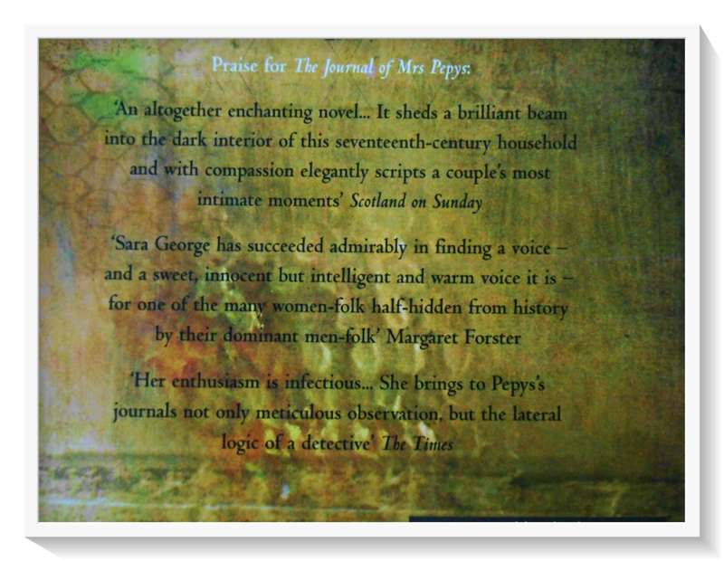 SARA GEORGE: The Beekeeper`s Pupil - Hardcover - Condition: VG (B+)
