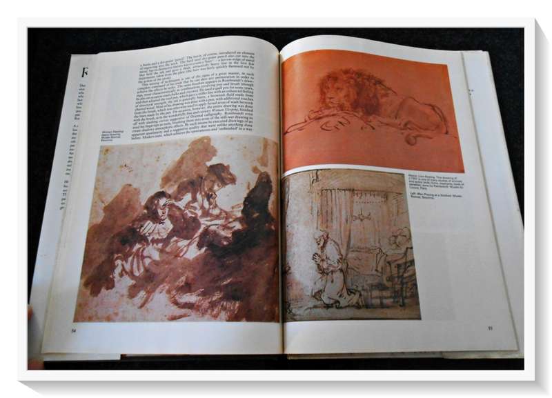The Art of Rembrandt Edited by Douglas Mannering - Large Hardcover - Colour - Condition: B+