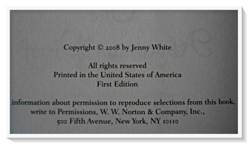 Jenny White: The Abyssinian Proof - First Edition - 2008 - Norton & Company - Condition: A