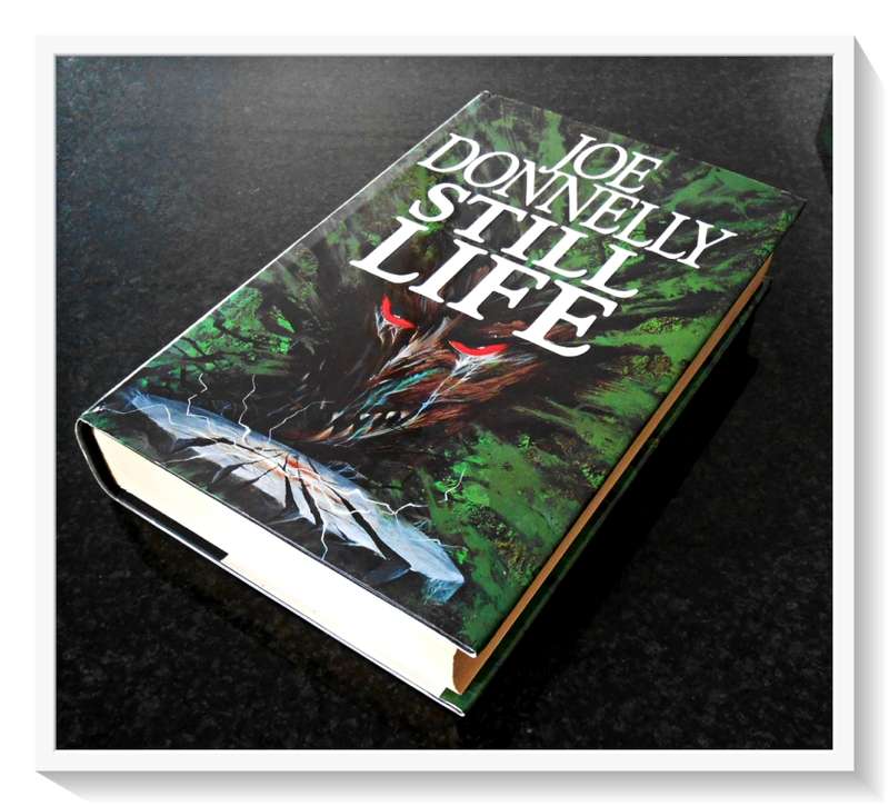 Still Life by JOE DONNELLY - UK First Edition - 1993 - CENTURY PRESS - Condition: B+ (Very Good)