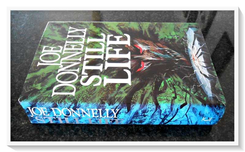 Still Life by JOE DONNELLY - UK First Edition - 1993 - CENTURY PRESS - Condition: B+ (Very Good)