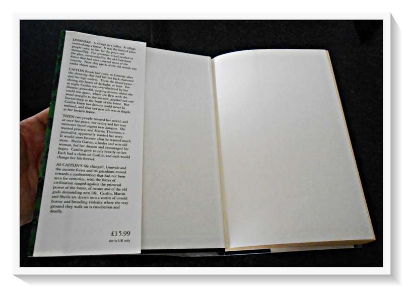 Still Life by JOE DONNELLY - UK First Edition - 1993 - CENTURY PRESS - Condition: B+ (Very Good)