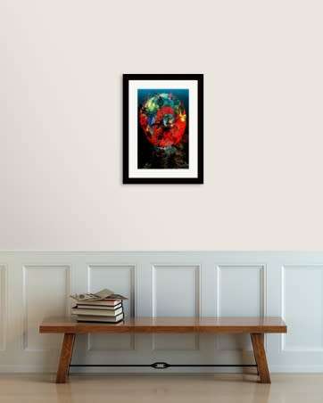 Photography Abstract Work: Title: Floral Lunacy` by Ras Steyn  - A2 Size Full Gloss Photoptint 1/1