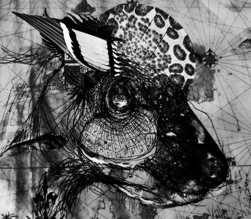 HUMAN-CENTRED ART by Ras Steyn Title: FOXY LADY ( B &We Print - Single Edition 1/1)