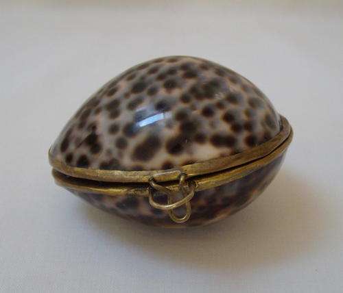 VINTAGE COWRIE SHELL TRINKET BOX