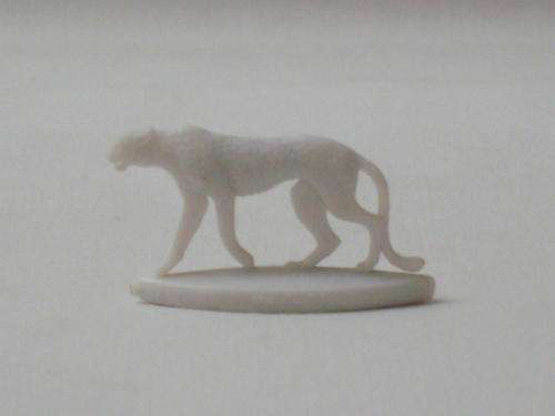 RARE COCA-COLA 'ANIMALS OF AFRICA' ~ CHEETAH c1961