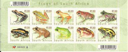 2000 Frogs Of South Africa Sheetlet - U.M Sheet Of 10 Stamps (SH73)