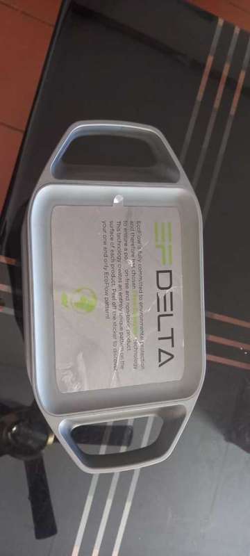 Pliz Read: Delta Ecoflow 1300