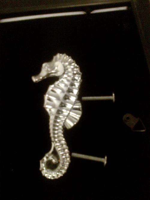 Sea Horse Door Handles- Metal
